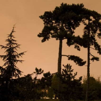 Pelouse de Reuilly au Bois de Boulogne
