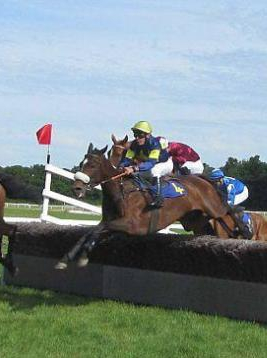 Hippodrome de Senonnes-Pouancé