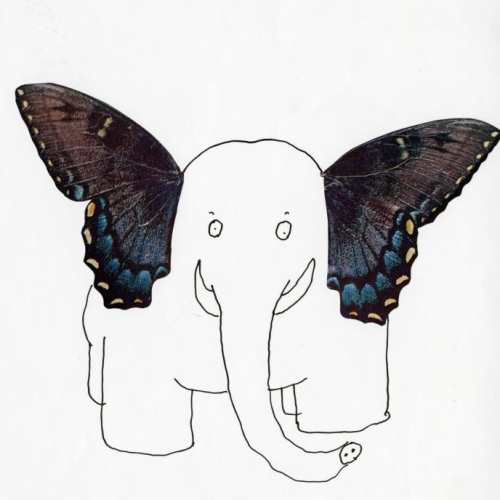 Ateliers enfants musée Tomi Ungerer