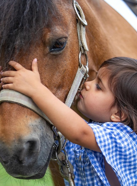 Les Chevaux dans la Ville