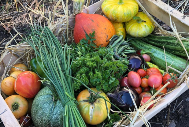L'Herbarium, productrice bio