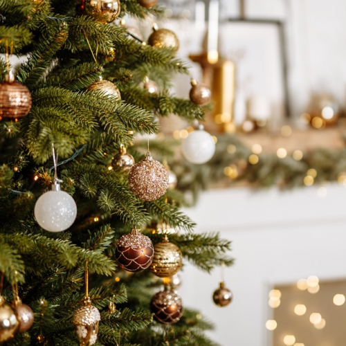 Quel est le sapin le plus écologique ?