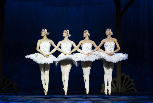 Mon Premier Lac des Cygnes : 4 danseuses