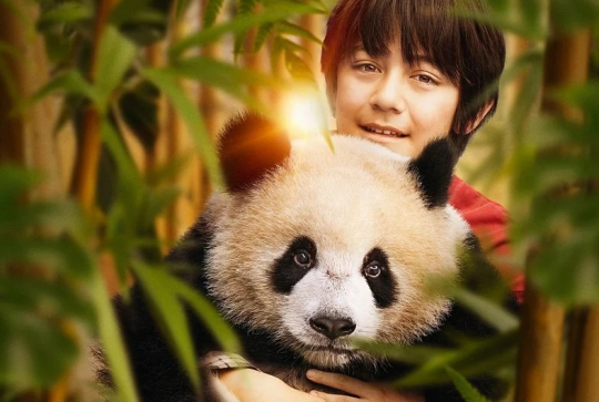 Moon le panda : affiche