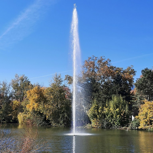 Jardin Compans-Caffarelli : jet d'eau