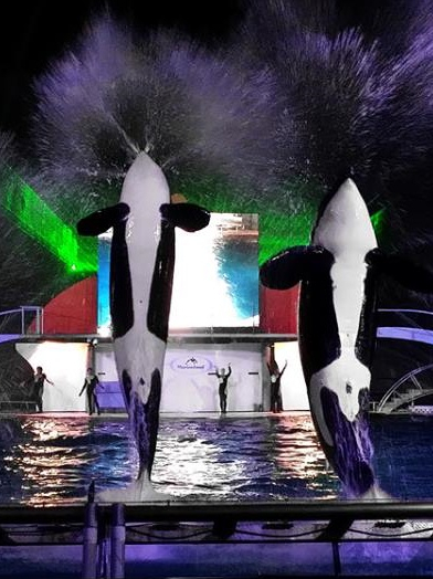 Halloween Marineland @Anne Vialle