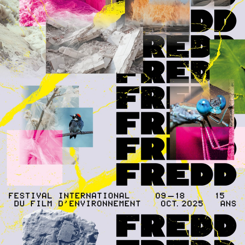 FReDD - Affiche