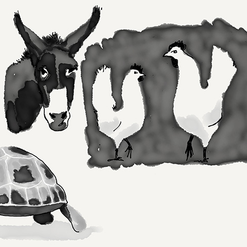 Le Carnaval des animaux - Albin de la Simone et Valérie Mrejen