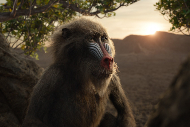 Le Roi Lion, le film - Rafiki