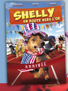concours DVD Shelly 2