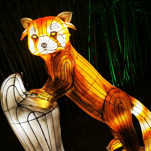 L'Odyssée Lumineuse à Bordeaux - panda roux