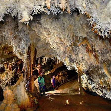 Goiuyffre géant Cabrespine - Aude Tourisme