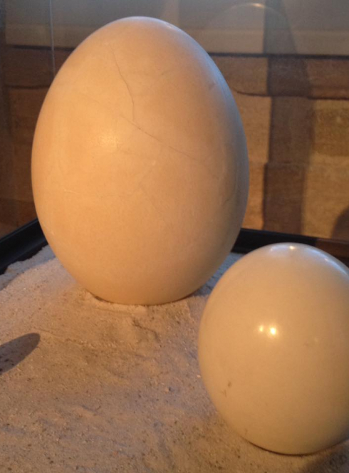 Pâques 2019 au Musée des Douanes