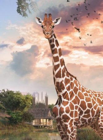 Planète Safari Lodge : dormez dans la savane en famille à Planète Sauvage