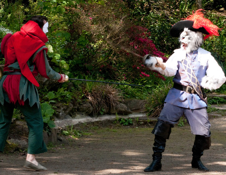 Le chat Botté - Cie Vers Galant