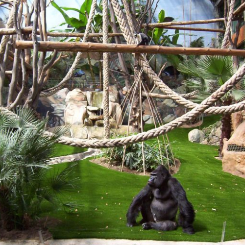 Zoo de St Martin la Plaine