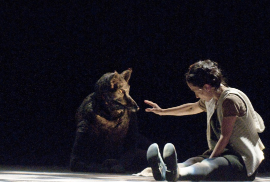 Le petit chaperon rouge - Jöel Pommerat