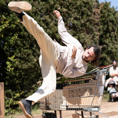 Shopping Cart - Cirque Lambda