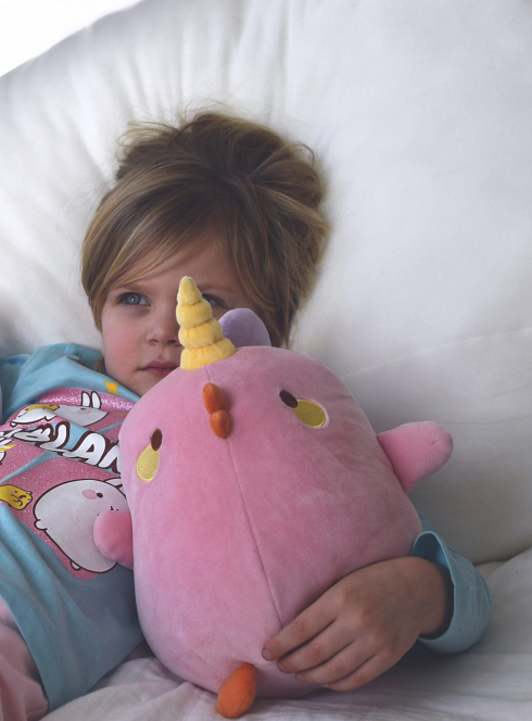 Concours peluches Molang