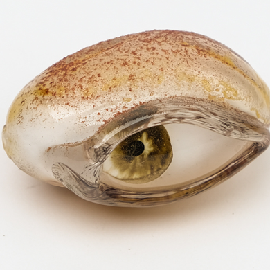 Expo "Le verre, au-delà de la matière : Les collections du Cirva" : Mathilde Rosier, Yeux graines, 2022–2023