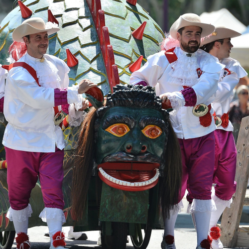 Fêtes de la Tarasque 2019