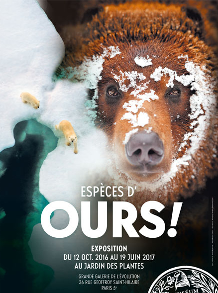 Expo Espèces d'ours !