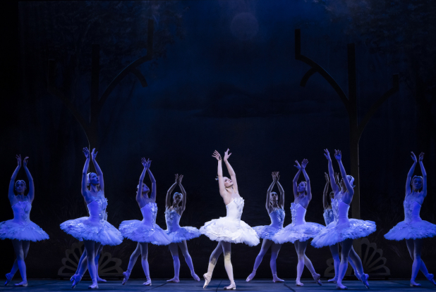 Mon Premier Lac des Cygnes : l'ensemble