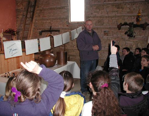 Asinerie d'Embazac : les animaux apprennent