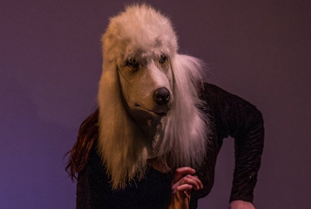 Les transports d'Alice Topor - Extrait