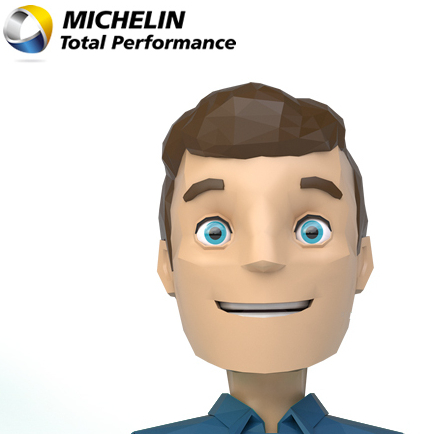 Total Performance Michelin