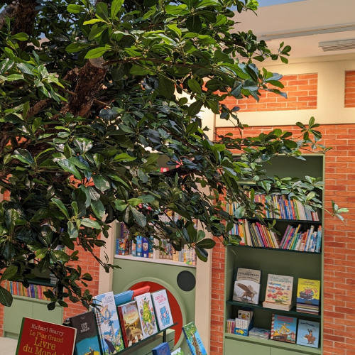 Chantelivre : arbre au milieu des livres