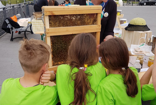 Les Mûres ont des Abeilles : Atelier