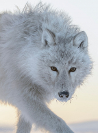 Exposition Lumière sur le vivant