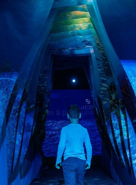 Science Expériences : volcan