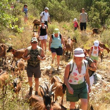Chèvrerie du Bois d'Amon