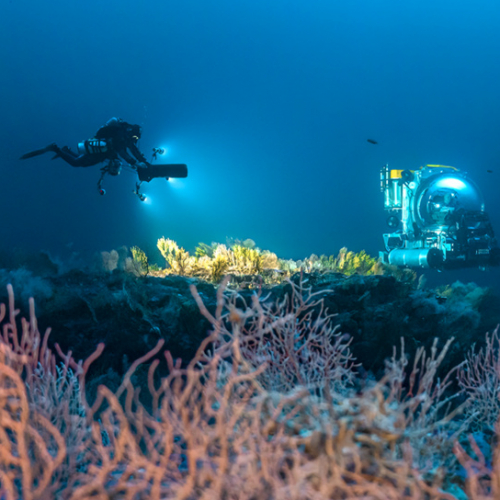expo le mystère des anneaux
