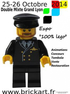 Expo 100% Lego