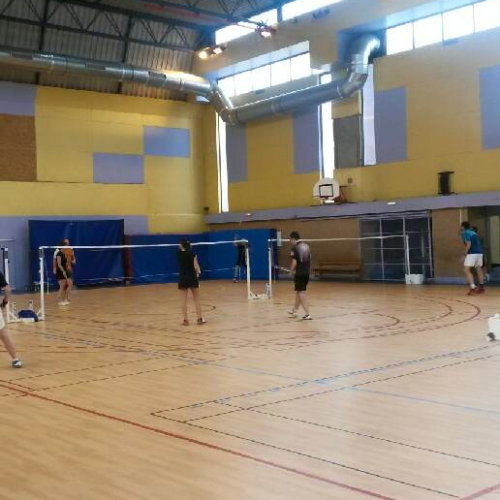 Villeur'bad : Badminton Club Villeurbannais