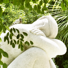 Jardin Alsace Lorraine