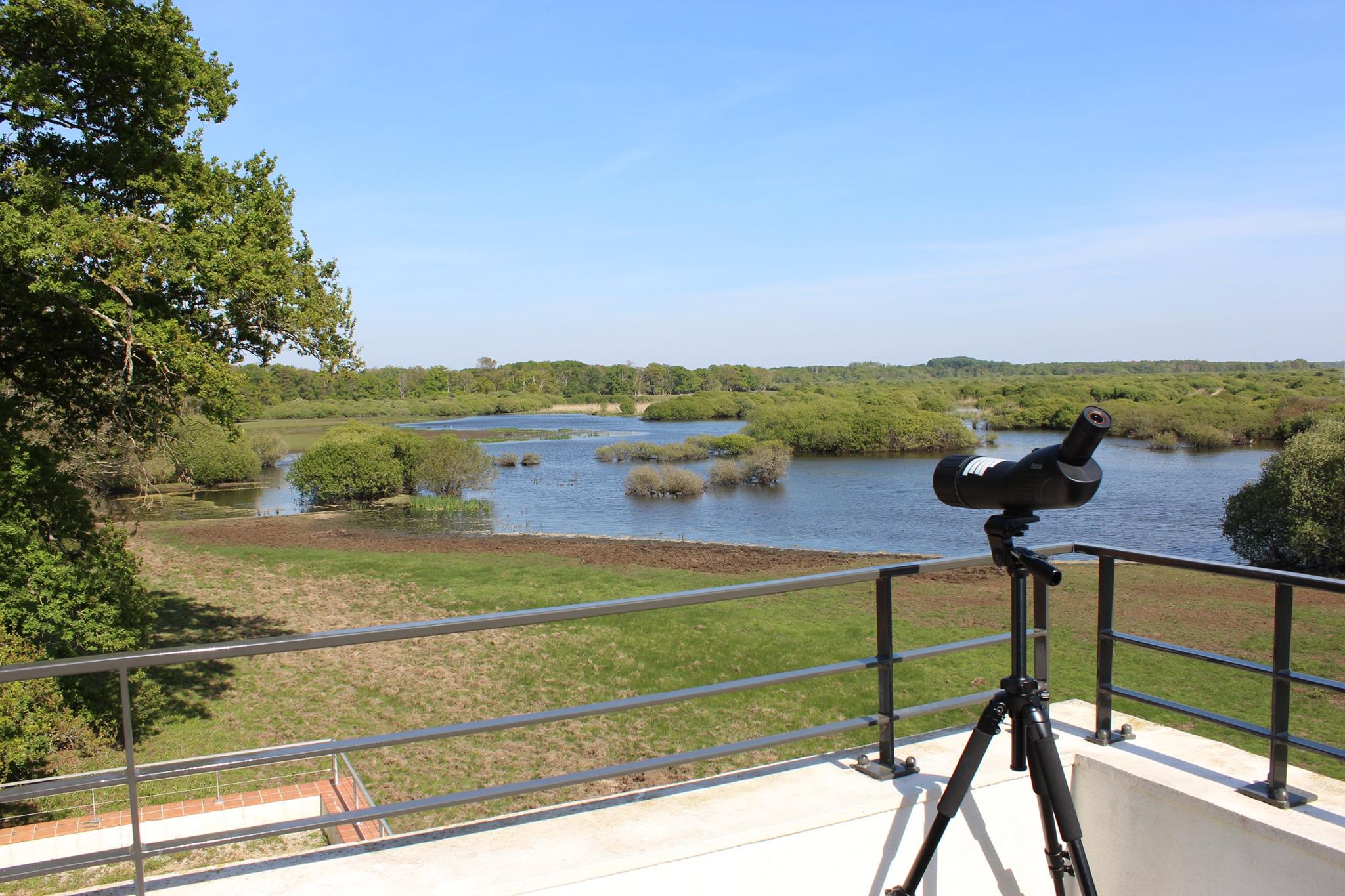 Le Lac de Grand Lieu et sa Maison réserve naturelle en famille (Nantes) Citizenkid