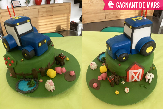 Concours De Gateaux D Anniversaire Decouvrez Le Gagnant De Mars Citizenkid