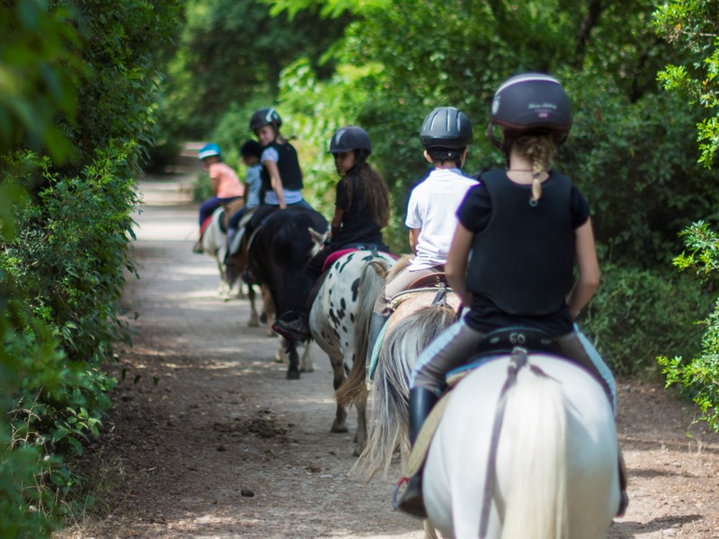 Centre Equestre Marseille Pastre Cours D Equitation Stages Et Baptemes A Poney Pour Enfants Citizenkid
