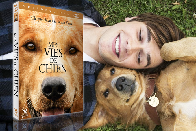 Mes Autre Vie De Chien Gagnez le dvd "Mes vies de chien" - Citizenkid